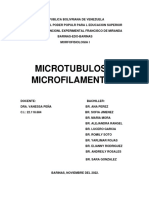 Microtubulos y Microfilamentos Tarea