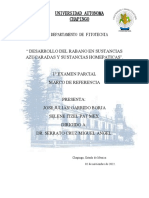 MARCO DE REFERENCIA DESARROLLO DEL RABANO CON SUSTANCIAS AZUCARADAS Y HOMEOPATICAS. 1° Examen