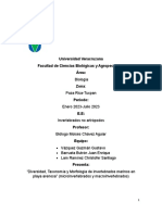 Lab Diversidad, Taxonomia y Morfologia de Invertebrados Marinos en Playa Arenosa PDF