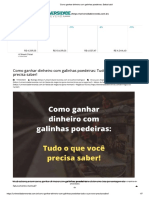 Galinhas Poedeiras Dinheiro