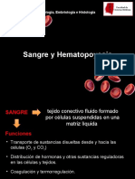 Sangre y Hematopoyesis