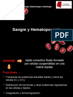 Citología, Embriología e Histología de la Sangre