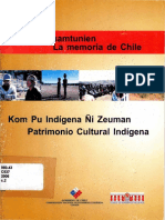 Patrimonio Cultural Indigena 2006