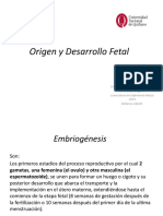 (CLASE 1 C) ORIGEN Y DESARROLLO FETAL Fetal