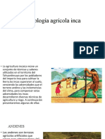 Tecnología agrícola inca.pptx