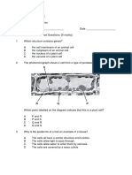 Worksheet - Cell Structures - 2022