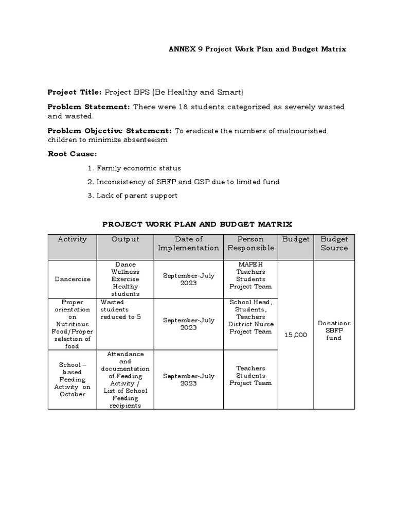 Project BPS Budget Matrix Overview | PDF
