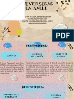 Cuadro Neurociencias PDF