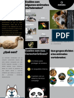 Animales Vertebrados PDF