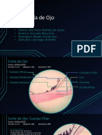 Histología de Ojo