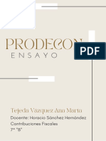 Ensayo Acerca de La PRODECON