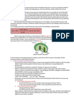 Anabolisme 1 (Fotosintesis) PDF
