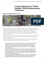 Kasus Pengrusakan Mangrove Di Tolitoli Segera Disidangkan, Potret Keterancaman Mangrove Di Indonesia - Mongabay - Co.id - Mongabay - Co.id
