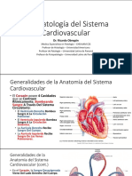 HASTA PAUSA 1 Cardiovascular Fisiopatologia TM PDF
