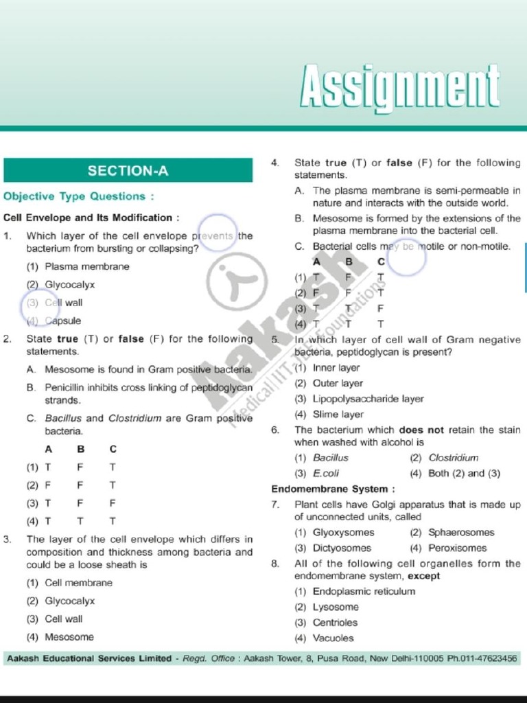 level-3-questions-pdf-pdf