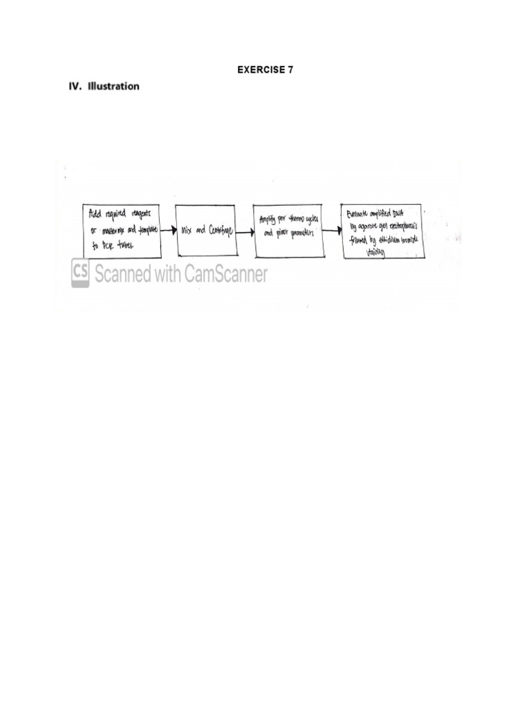 The Importance of Controls in Experimental Design Positive Controls