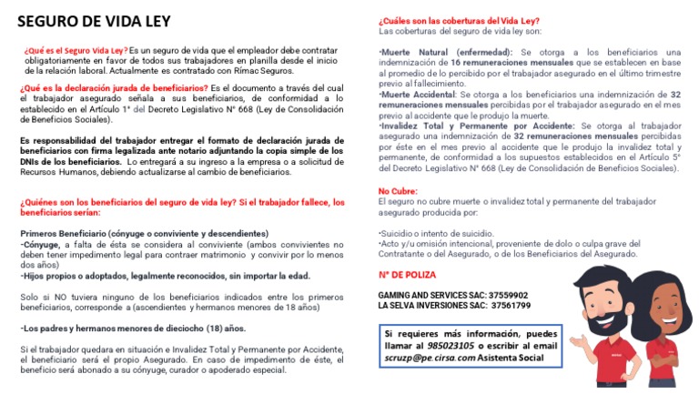 Seguro de Vida Ley: Coberturas y Beneficiarios | PDF | Seguro | Seguro ...