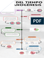 Infografia Línea Del Tiempo Historia Timeline Doodle Multicolor PDF