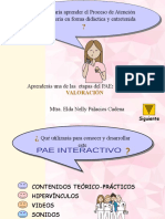 PAE Interactivo - PPSX