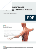 Human Anatomy and Physiology - Structure and Mechanism of Skeletal Muscle Contraction