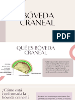 Boveda Craneal PDF