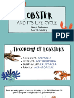 Lobster PDF