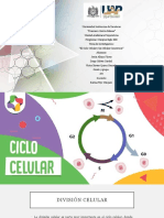 Exposición - Biología - II - Ciclo - Celular Y El Cancer