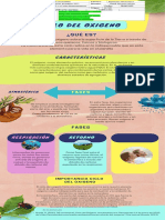 Infografía Ciclo Del Oxigeno