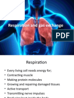 Respiration and Gas Exchange