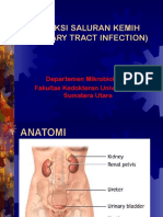 Infeksi Saluran Kemih (Urinary Tract Infection) : Departemen Mikrobiologi Fakultas Kedokteran Universitas Sumatera Utara