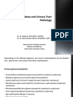 Kidney and Urinary Tract Pathology Overview