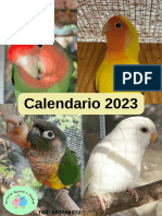 Calendario 2023 completo
