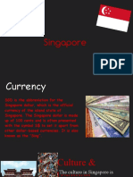 Singapore Guide