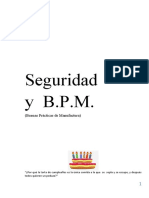 Seguridad y BPM