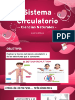 Sistema Circulatorio - Actividades