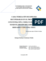 Tesis Caracterizacion de Especies Recuperables en El Proceso PDF