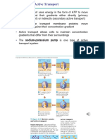 BIO 201 - CM4 Part 3