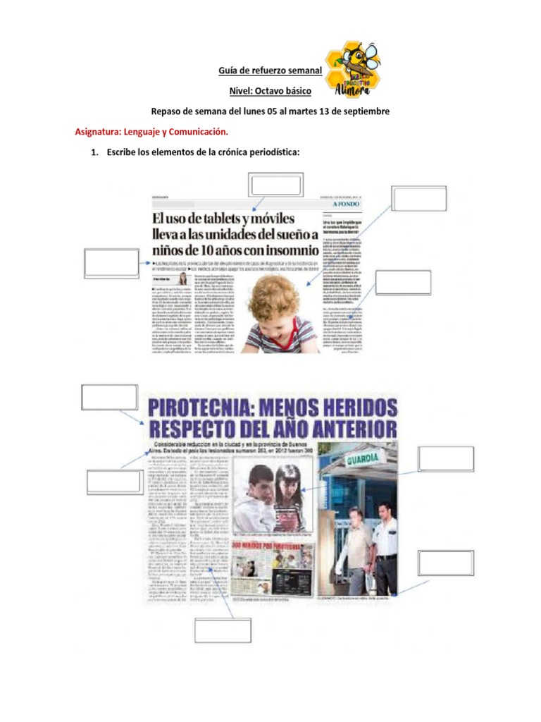 Octavo Básico - Guía Refuerzo de Contenidos | PDF