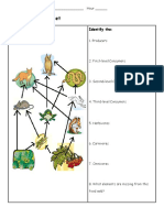 Food Chain Web Pyramid.pdf