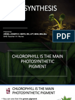 PHOTOSYNTHESIS 