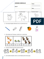 Mem Evaluare Sumativa Modulul I