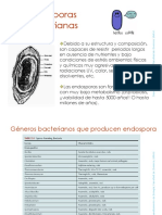 2i.endosporas 2022 PDF