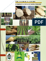 CURS NR. 11 Si CURS NR. 12 - PRODUCEREA DE SĂMÂNȚĂ LA SFECLA DE ZAHĂR ȘI SFECLA FURAJERĂ