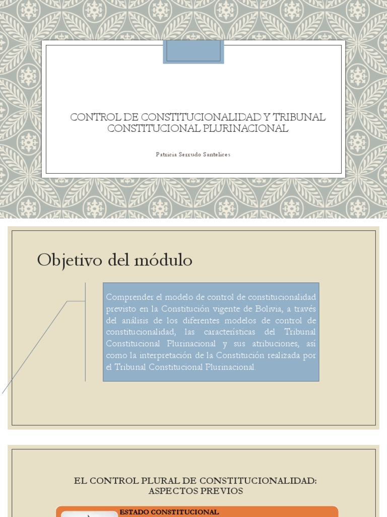 Control Plural de Constitucionalidad Envio PDF Constitución Juez