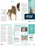 Canine Vaccination Guide Spanish