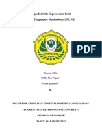 Didha PGH - 0076 - 3B - Resume Individu Keperawatan Kritis