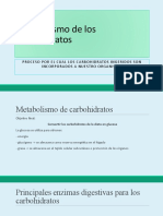 Metabolismo de Los Carbihidratos