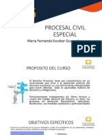 Clase Derecho Procesal Civil Especial Parametros 2023-1