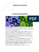 Ciencias Naturales Los Microorganismos