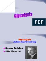 Glycolysis 4
